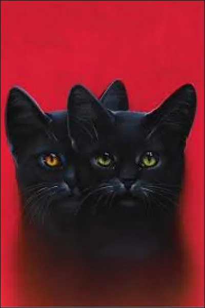 Aimes-tu le livre "Meutes Sauvages" ?