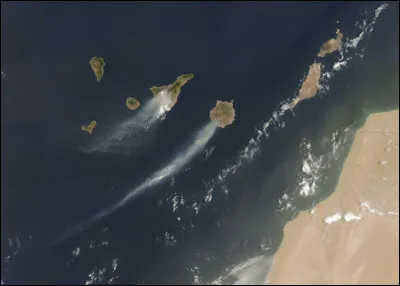 Pourquoi ''les îles Canaries'' portent-elles ce nom ?