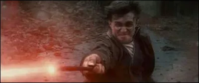 Pendant la bataille de Poudlard, de quel c&ocirc;t&eacute; te ranges-tu ?