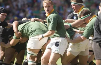 Quel rugbyman sud-africain joué par Matt Damon dans le film Invictus' a toujours porté le n°6 chez les springboks ?