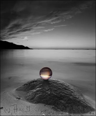 Où est située l'île de Terre-Neuve ?