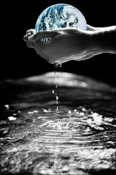 Si j'avais fini mon quiz avec une blague très très marrante :