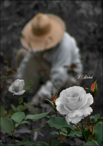 Qui chantait "Il a fait le tour de la Terre, il a même demandé à Dieu, il a fait le tour de la Terre, il n'a pas trouvé mieux" ?