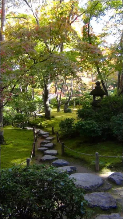 Que signifie littéralement le terme "tobi-ishi" ?