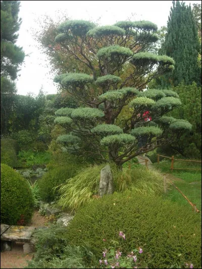 Quel est le nom de ce type de taille ?