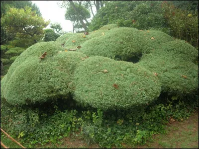 Comment s'appelle ce type de taille ?