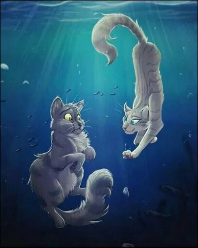 Tu vois les chatons d'un autre clan se noyer, de ton c&ocirc;t&eacute; de la fronti&egrave;re. Que fais-tu ?