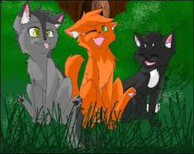 Qui voudrais-tu &ecirc;tre ?