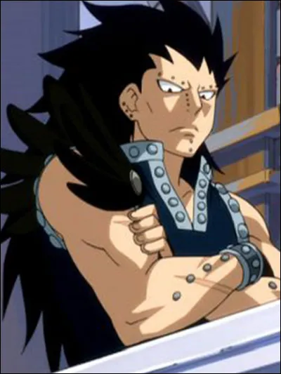 Gajeel est un chasseur de dragon de l'acier mais il peut passer en mode...