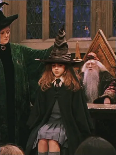 Hermione Granger est une chapeau flou (personne qui a mis plus de cinq minutes à se faire placer). Entre quelles maisons le choixpeaux a-t-il hésité ?