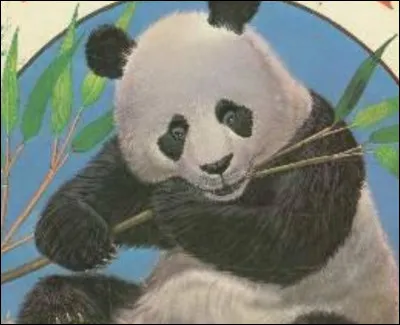 Jusqu'à quel âge peuvent-ils vivre au maximum ?