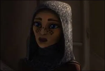 Quelle est la race de Bariss Offee ?