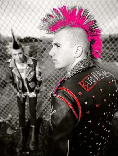 Qui chantait "Nous tout ce qu'on veut c'est être heureux, être heureux avant d'être vieux" ?