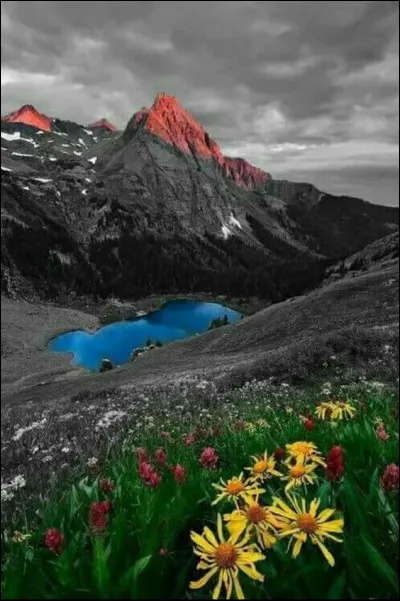 À quoi correspond "Le Vieux Campeur" ?