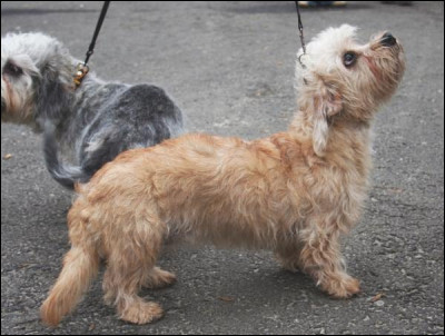 Et celle-l&agrave;, quel est son nom ?