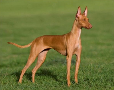 Et celle-l&agrave;, quel est son nom ?