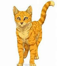Quiz Animaux