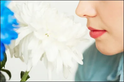 Les odeurs voyagent...