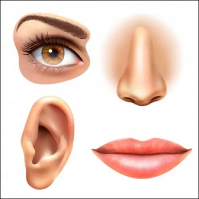 L'alphabet en braille permet...