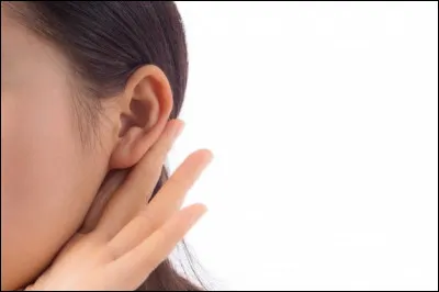 Dans l'oreille, la première membrane qui vibre est...