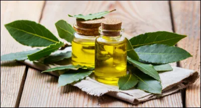 L'huile essentielle de laurier n'est pas/ne sert pas :