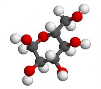 À quoi correspondent les molécules blanches ?