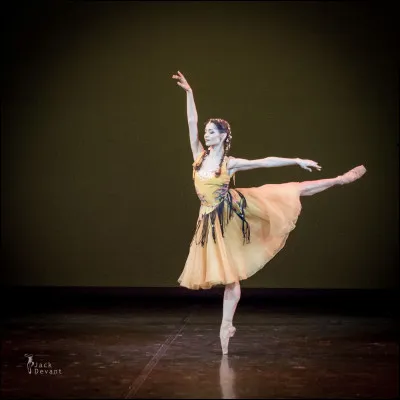 Quelle est cette arabesque ?