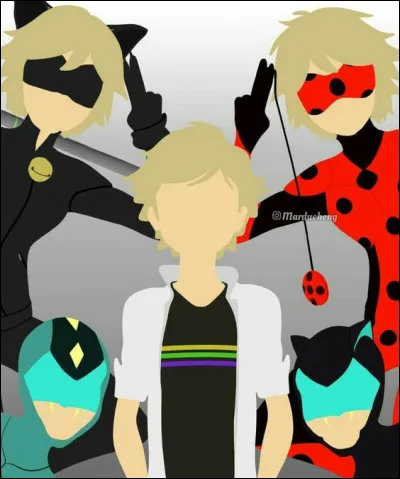 Laquelle de ces transformations n'est pas présente sur cette image ?