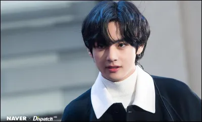 Avec qui V partage-t-il sa chambre ?