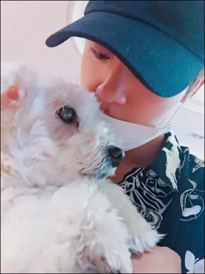 Comment s'appelle le chien de Jin ?