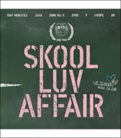 En quelle année l'album "Skool Luv Affair" est-il apparu ?