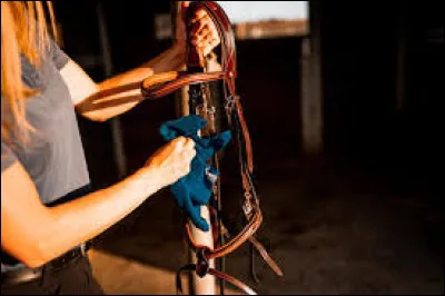 L'entretien - Cochez les bonnes réponses