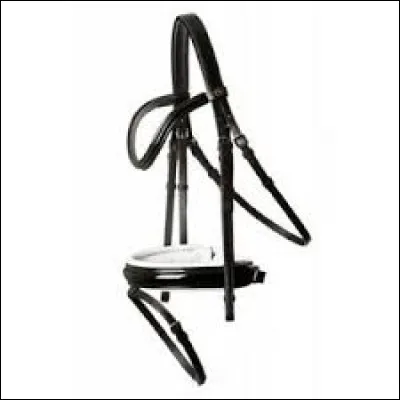 Le filet - Cochez ce qui est vrai