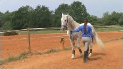Reculer. Cochez les vérités
