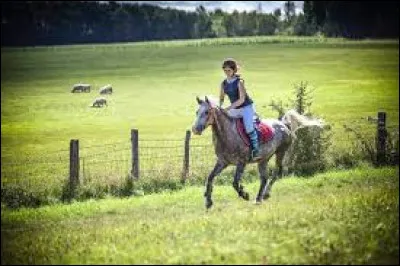 Sur quel diagonal doit-on trotter en balade ?