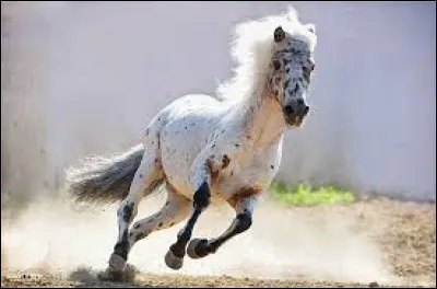 Quel est le mécanisme du galop à droite ?