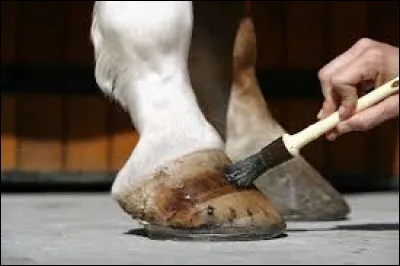 Sur quelles parties met-on de la graisse pour pieds ?