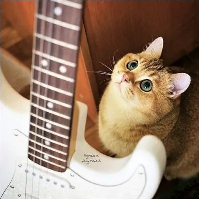 Comment s'appelait le chat du compositeur Henri Sauguet ?