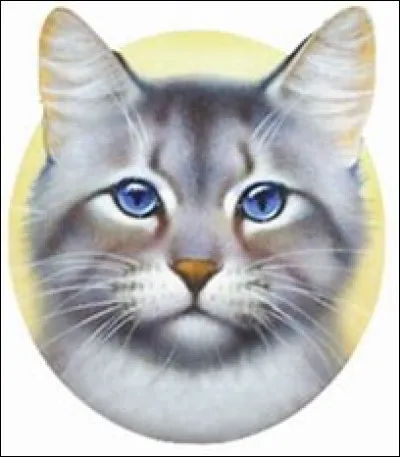 Aimes-tu le clan des Feuilles ?