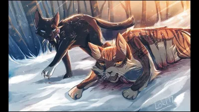 Où est le camp de la Rivière ?