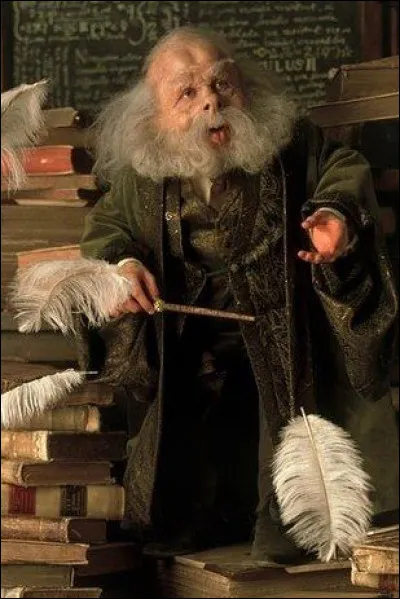 Professeur Flitwick : "Le sortilège "Lapifors" sert à transformer un objet en lapin. Vrai ou faux ?"
Toi : "..."