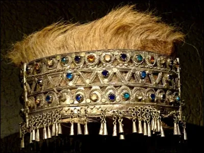 Au cours de ton voyage, tu rencontres une prophétesse qui porte la couronne en photo. Avec les poils de quel animal a-t-elle été réalisée ?