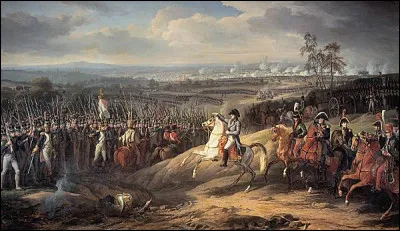 Qu'est devenu Vizir, célèbre cheval de Napoléon qui l'a accompagné sur ses grandes batailles ?