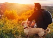 Quiz Connaissez-vous le chien ?