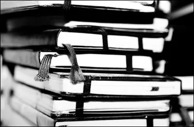 J'attribue des caractéristiques humaines à un objet ou un animal, quelle figure de style suis-je ?