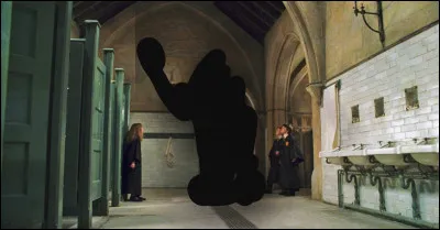 Quelles créatures Ron et Harry ont-ils combattues dans les toilettes en risquant leur vie ?