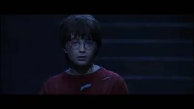 Que dit Harry à Quirrell quand ce dernier dit à Harry : ''Alors que voyez-vous ?'' quand Harry se regarde dans le miroir et que Voldemort dit : ''Il ment !'' en parlant de Harry ?