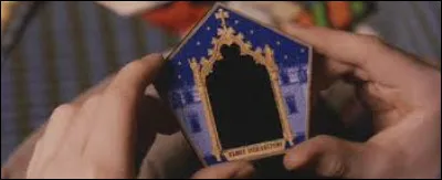 Dans le Poudlard express, quand Harry regarde sa carte de chocogrenouille, quel sorcier avait-il ?