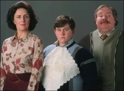Qui est la famille Dursley pour Harry ?