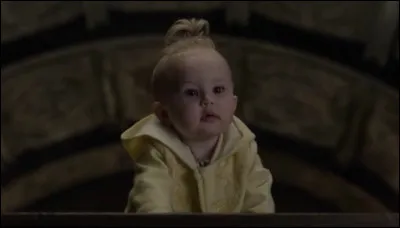 Dans le livre "La F&ecirc;te f&eacute;roce", en quel animal Prunille Baudelaire se d&eacute;guise-t-elle ?